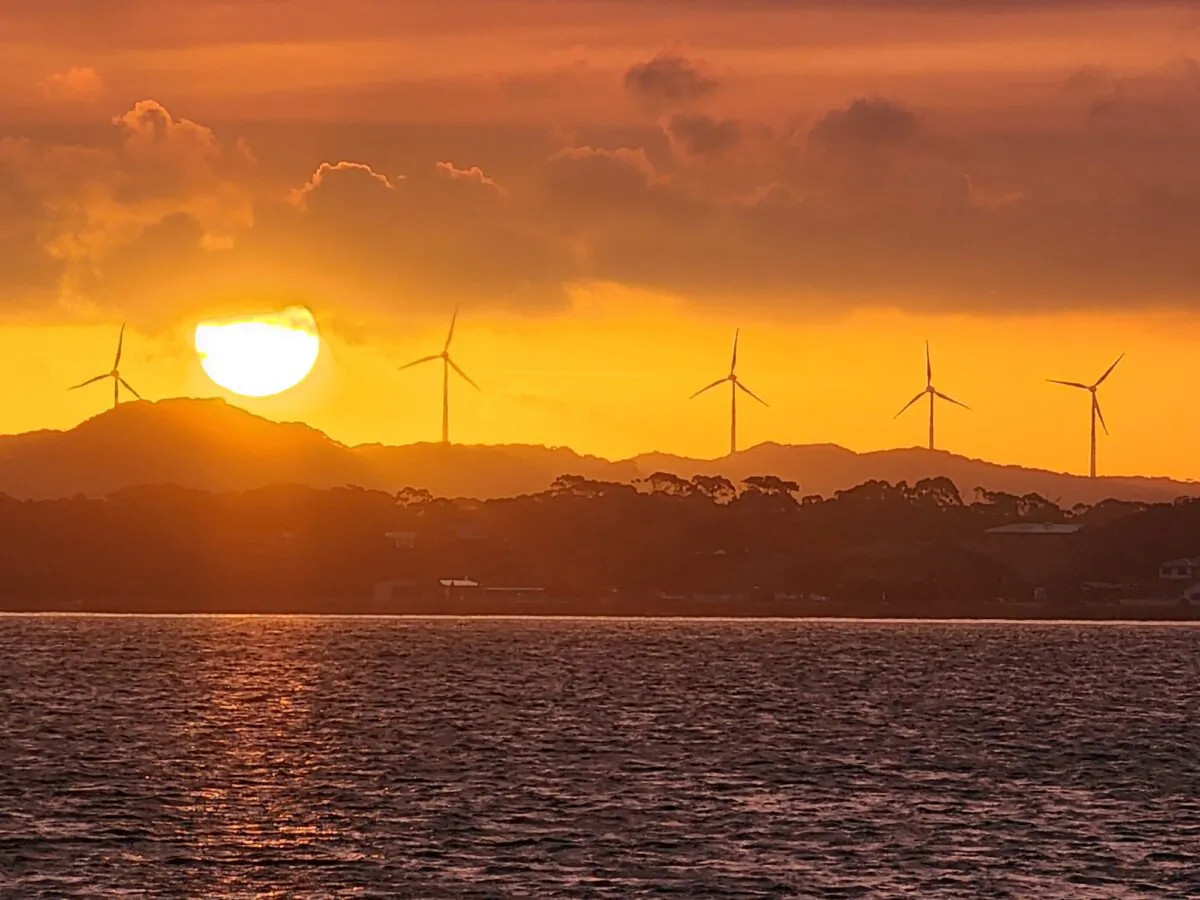 Wind turbines at Albany Wind Farm at sunset in Albany, Western Australia, on Jan. 22, 2024. (Susan Mortimer/The Epoch Times)