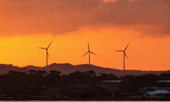 NZ Makes ‘Climate Risk Disclosure’ Mandatory for Big Business
