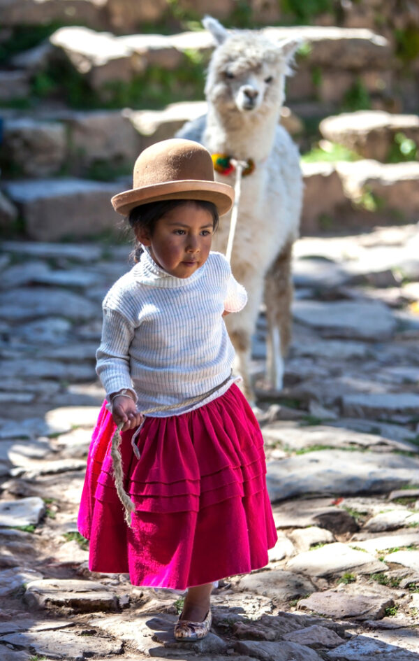 A young girl leads a llama on Sun Island, Lake Titicaca.