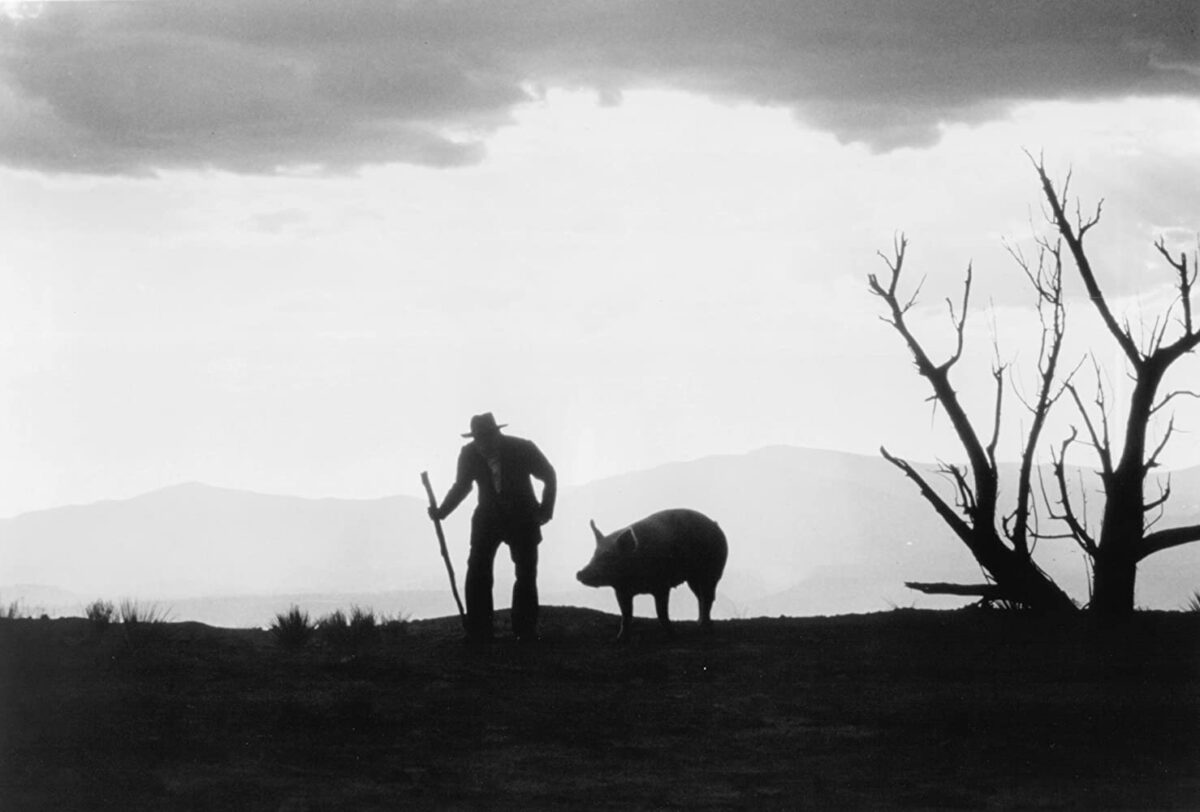 old man and pig in 'The Milagro Beanfield War'