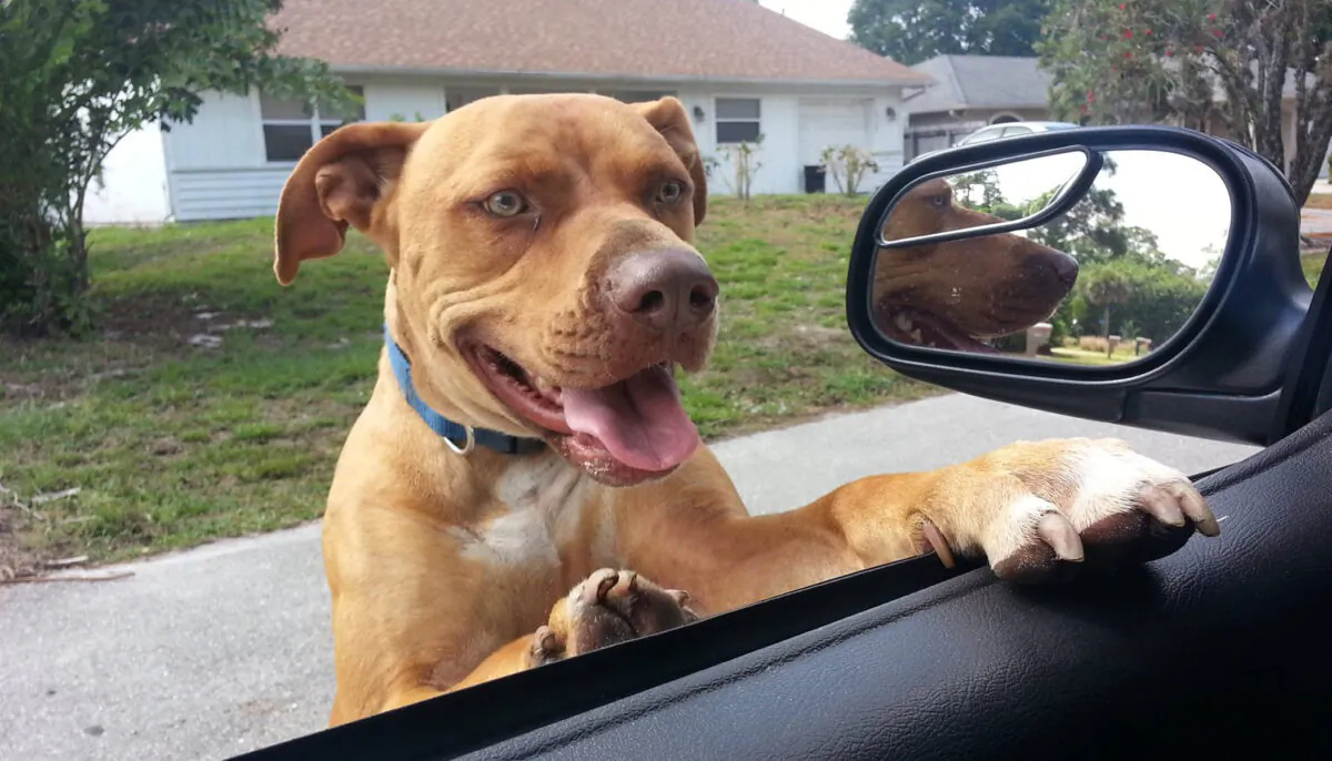 (Photo courtesy of Lee County Sheriff's Office)