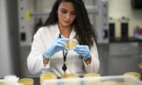 The Red Tape Pandemic