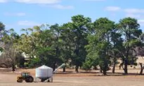Australian Farmland Values Expected to Slow After Decade-Long Growth