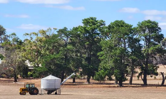 Australian Farmland Values Expected to Slow After Decade-Long Growth