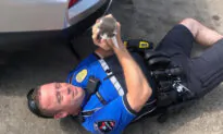 Police Officer Rescues 2 Tiny Kittens From TJ Maxx Store Parking Lot, Then Decides to Adopt Them