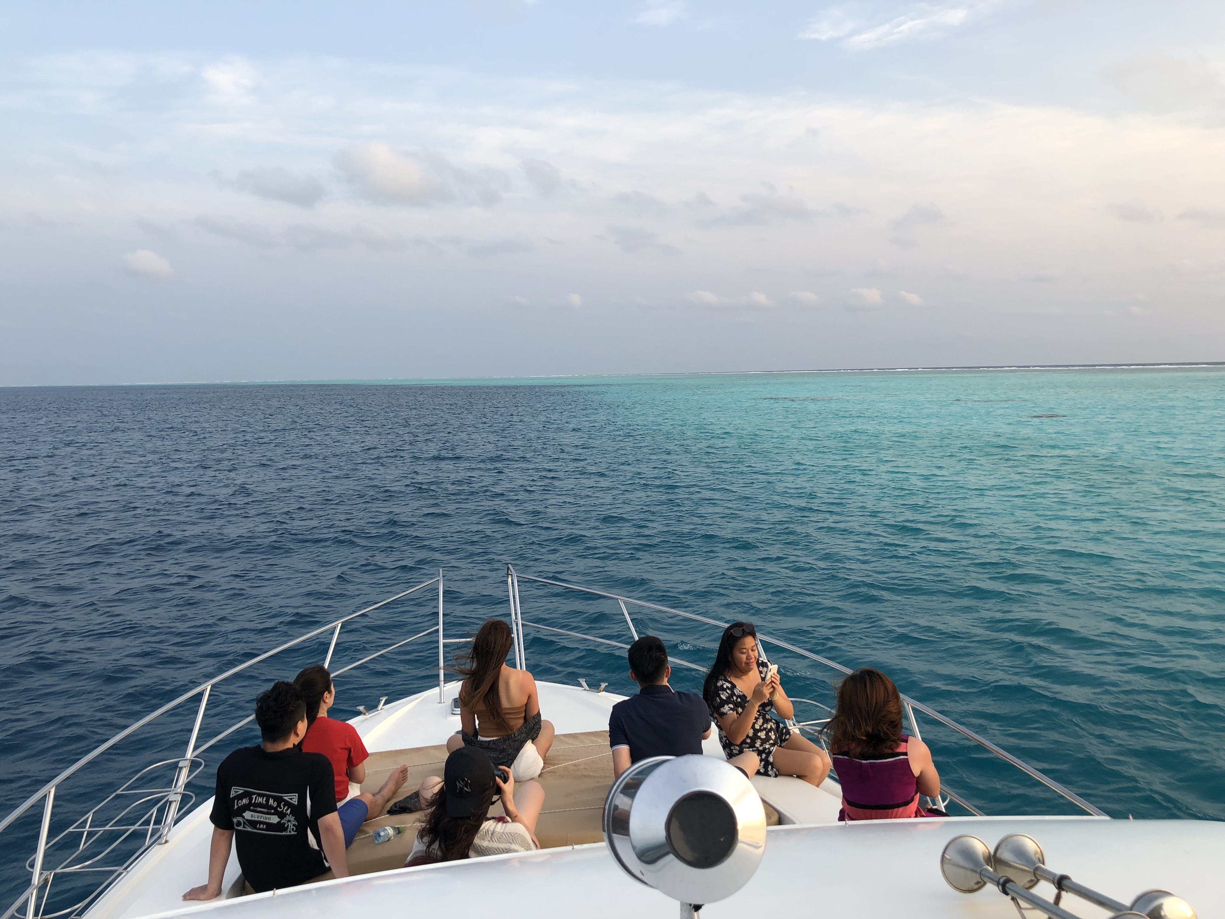 looking for dolphins maldvies