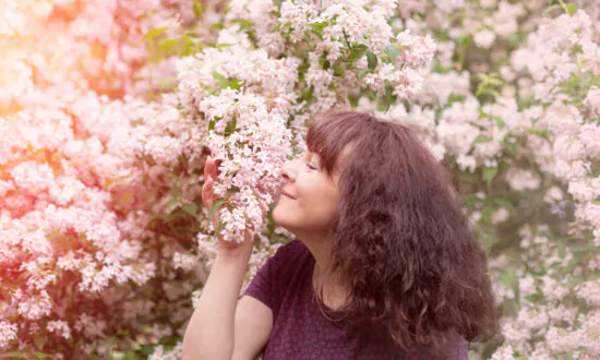 New Scent Therapy May Improve Memory