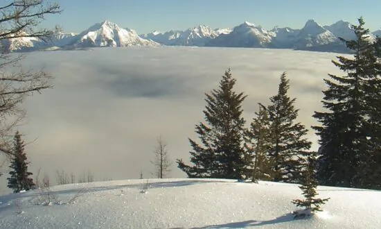 Virtual Voyages to Satisfy Your Wanderlust While Stuck at Home