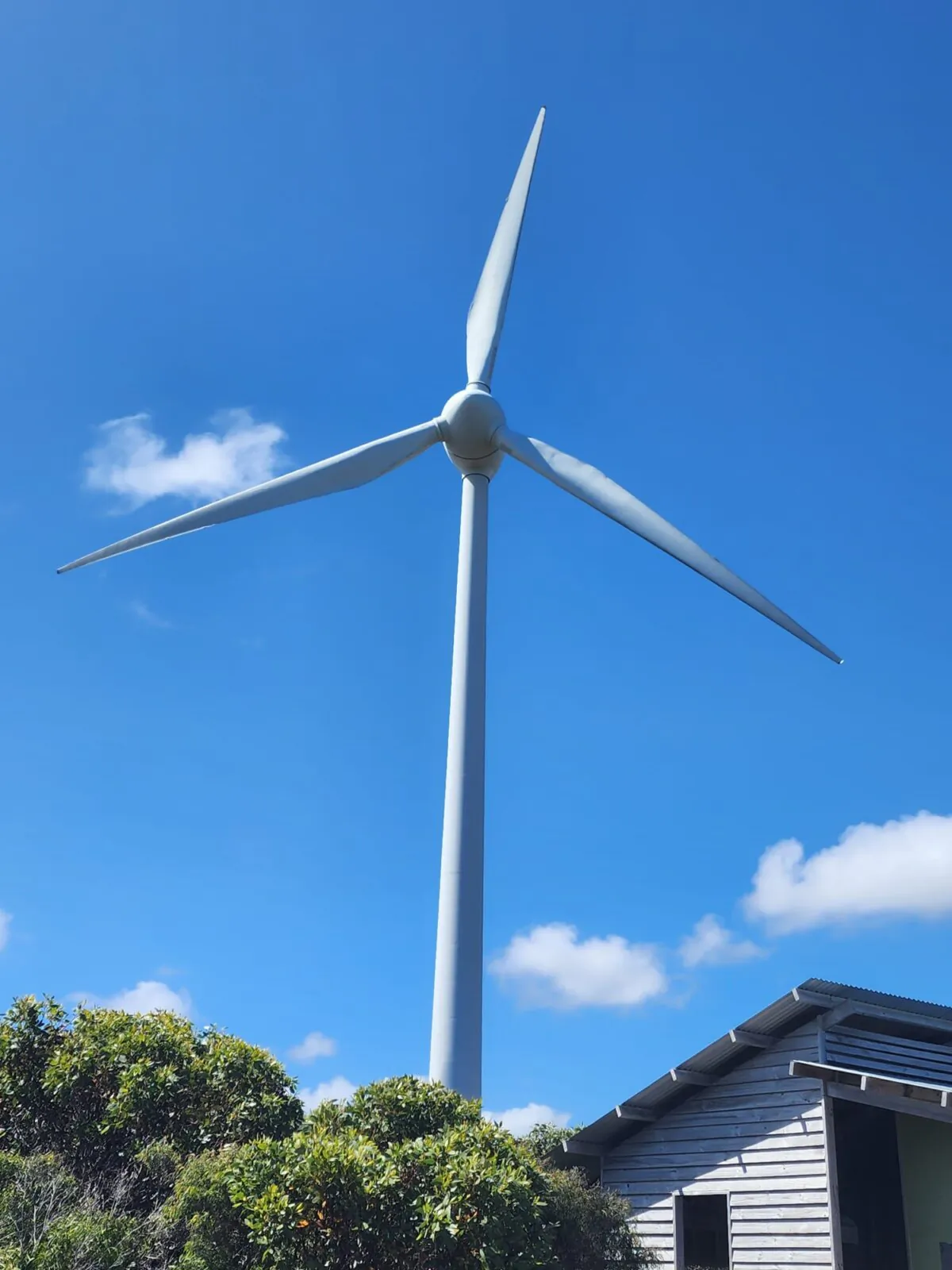 A wind turbine is seen at Albany Wind Farm in Western Australia on Jan. 25, 2024. (Susan Mortimer/The Epoch Times)