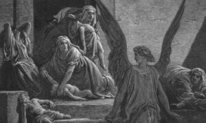 Past Pandemics and Epidemics