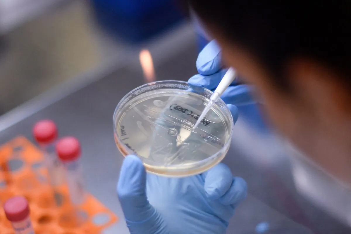 A researcher works on the development of a vaccine against COVID-19, in Belo Horizonte, Brazil, on March 26, 2020. (Douglas Magno/AFP/Getty Images)