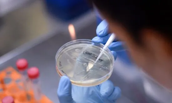 NGO Urges Adoption of New ‘Pandemic Paradigm’ for COVID-19 Vaccine Development