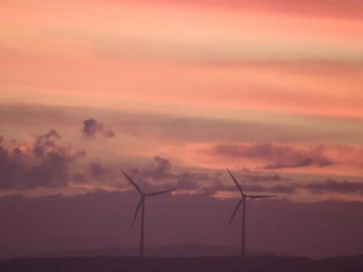Wind turbines in Albany, Western Australia, on Feb. 26, 2024. (Susan Mortimer/The Epoch Times)