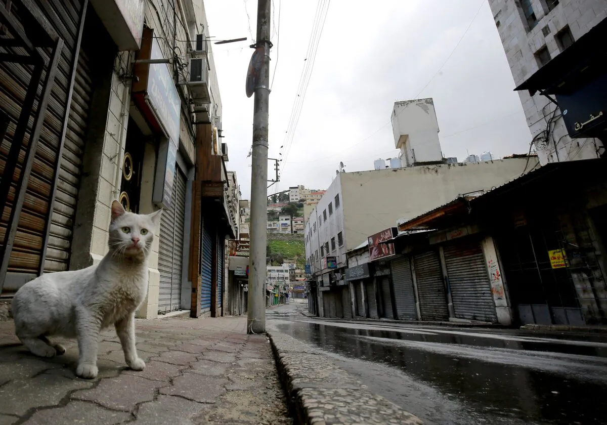 A lone cat walks along a market street in the center of the Jordanian capital Amman, during a nationwide curfew imposed by the authorities in order to control the spread of the CCP virus, on March 21, 2020. (Khalil MazraawiAFP via Getty Images)