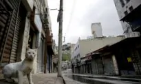 Cat Tests Positive for CCP Virus