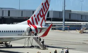 Small Pets to Fly in the Cabin for the First Time