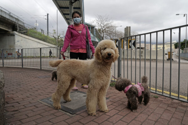 Virus Outbreak Pets Hong Kong