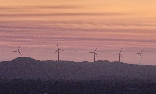 Teal MP’s Push for Mandatory Climate Health Reporting via Australian CDC Rejected