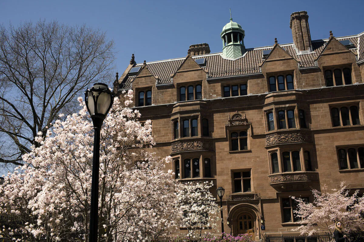 Trees bloom on the campus of Yale University in New Haven, Conn., on April 16, 2008. (Christopher Capozziello/Getty Images)