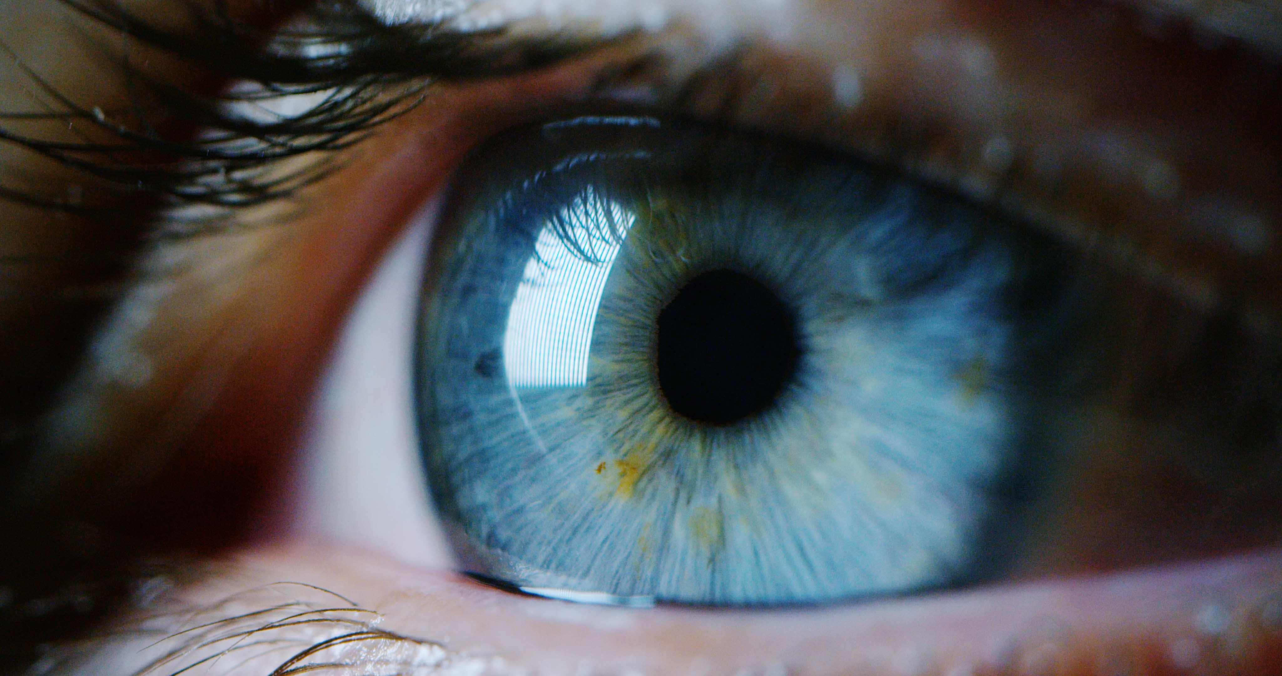 What Can Your Eyes Tell You About Your Health?