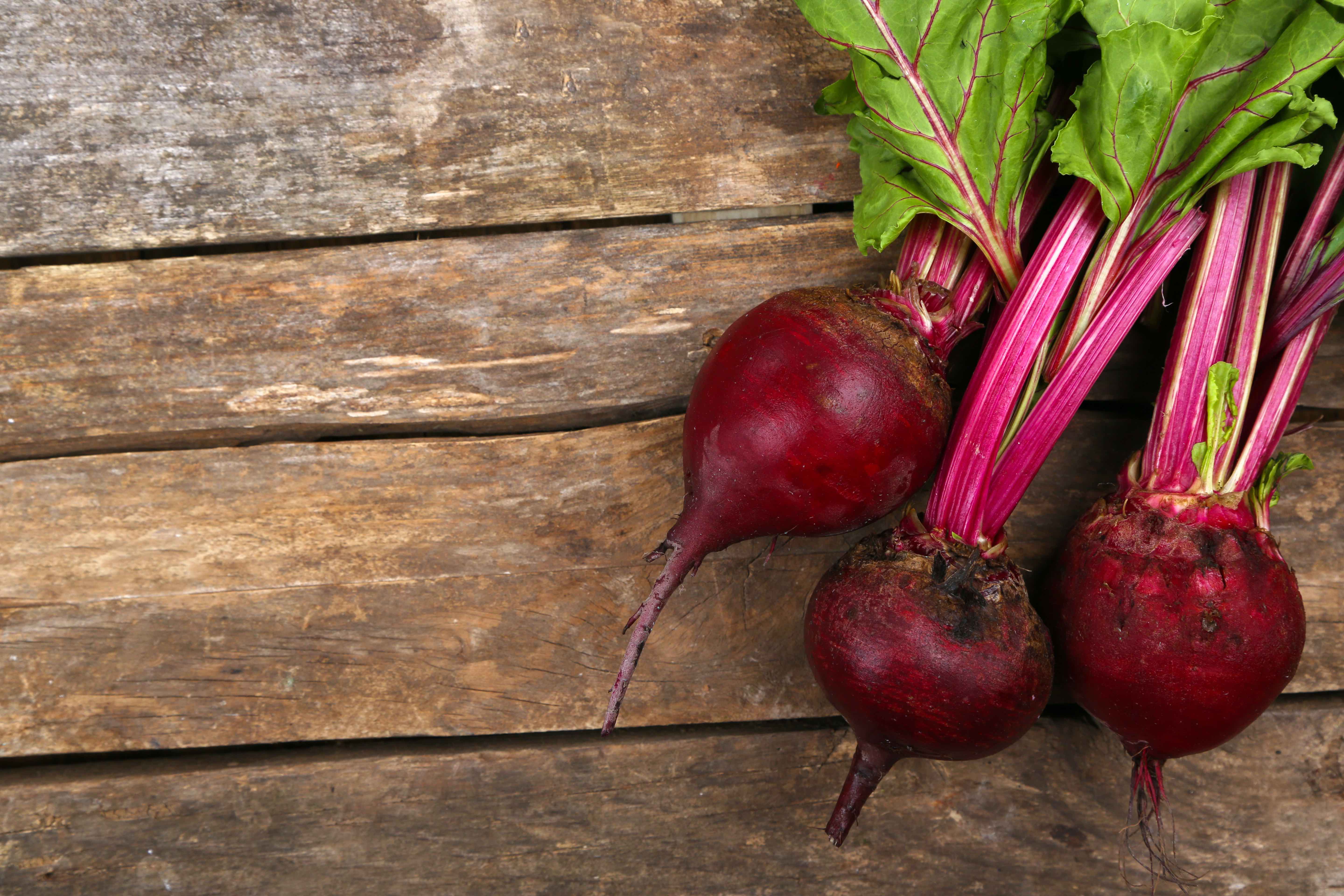 Можно вареную свеклу при сахарном диабете. Свекла beetroot. Свекла Болтарди. Cdtrrkf. Урожай свеклы.