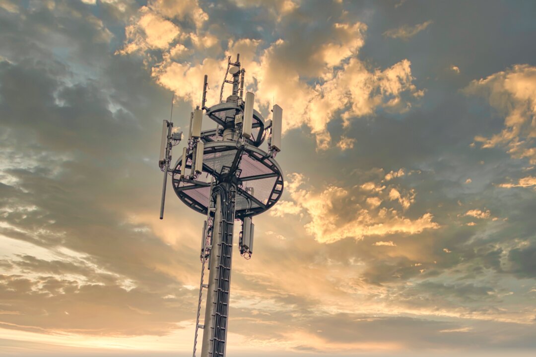 A 1981 report prepared for NASA had
already warned of
adverse effects from
microwave radiation. (Herr.Stock/Shutterstock)