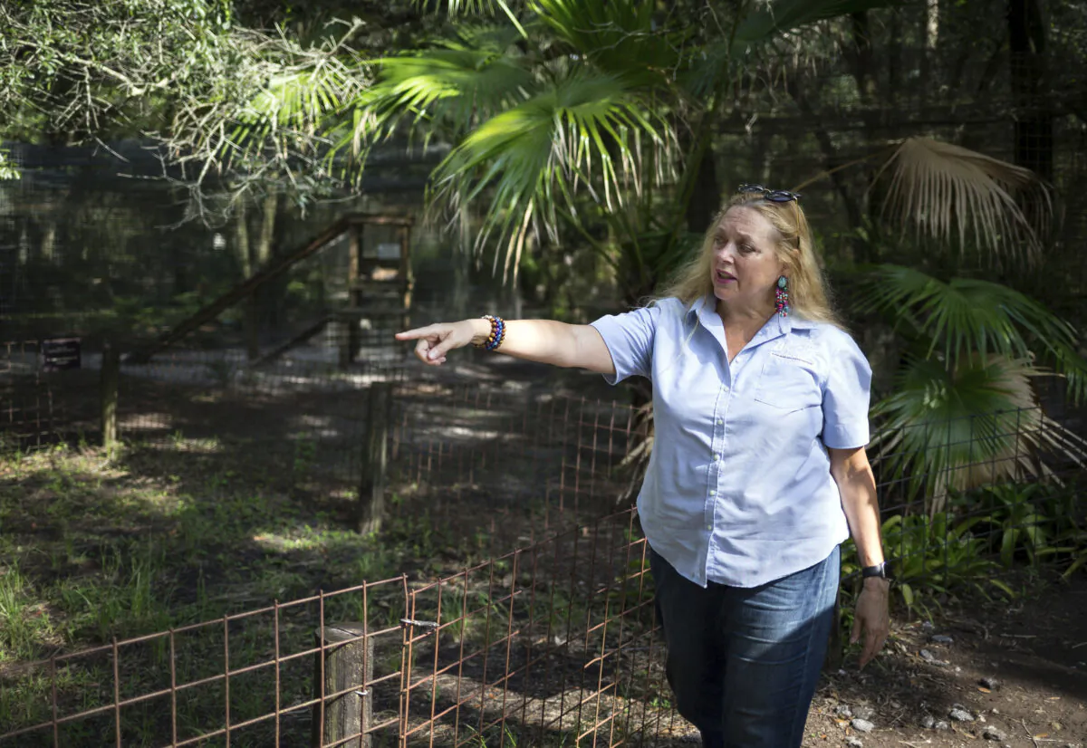 Carole Baskin, founder of Big Cat Rescue, walks the property near Tampa, Fla.  on July 20, 2017. Baskin was married to Jack “Don” Lewis, whose 1997 disappearance remains unsolved and is explored in a new Netflix series “Tiger King.” (Loren Elliott/Tampa Bay Times via AP, File)