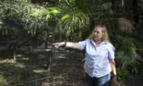 Netflix’s ‘Tiger King’ Prompts Sheriff to Ask for New Leads on Carole Baskin’s Vanished Husband