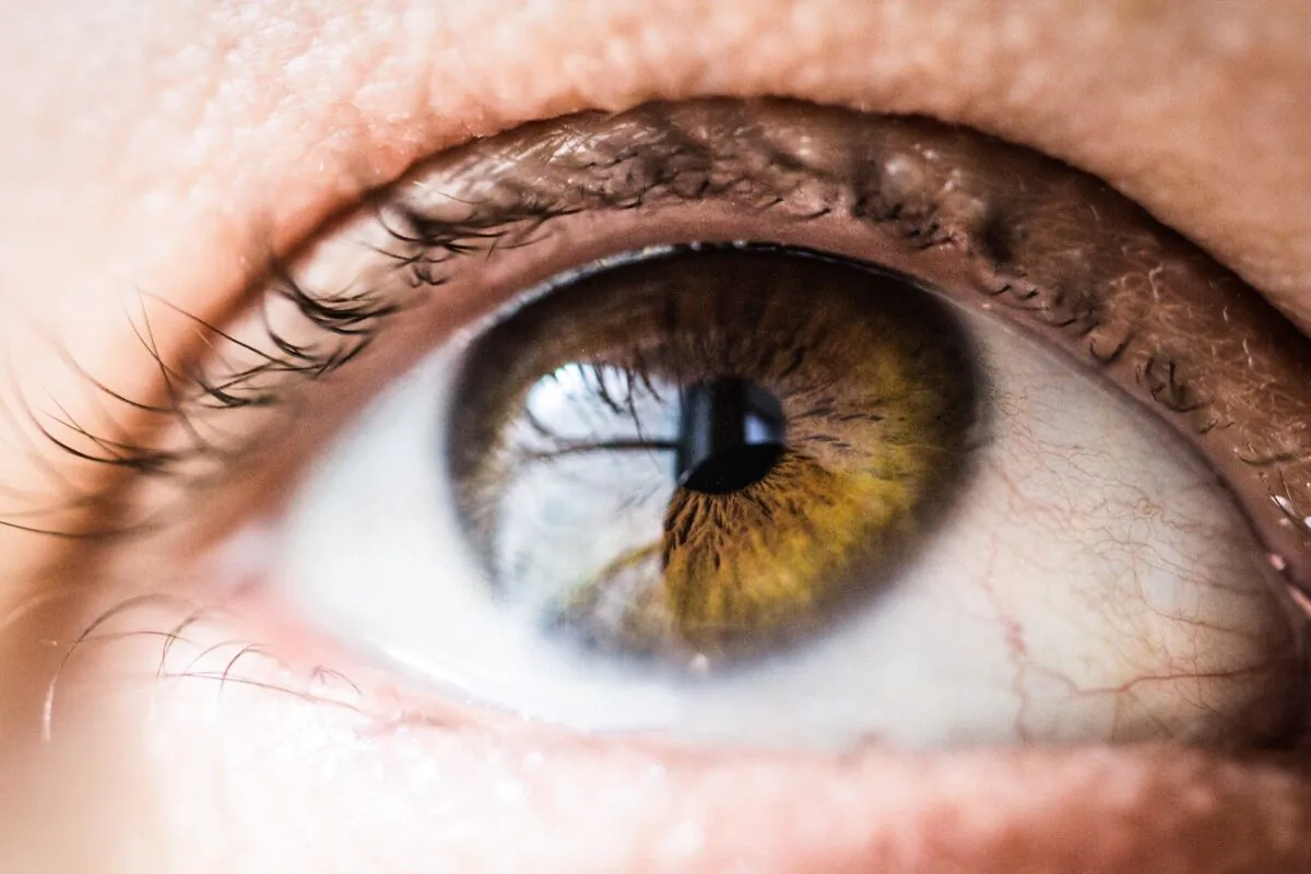 Close-up photo of a human eye. (Vanessa Bumbeers/Unsplash)