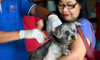 USDA Begins Airdropping Rabies Vaccines in 13 States