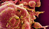 Foreign DNA Contamination in COVID-19 Vaccines Exceeds WHO Limits: Professor