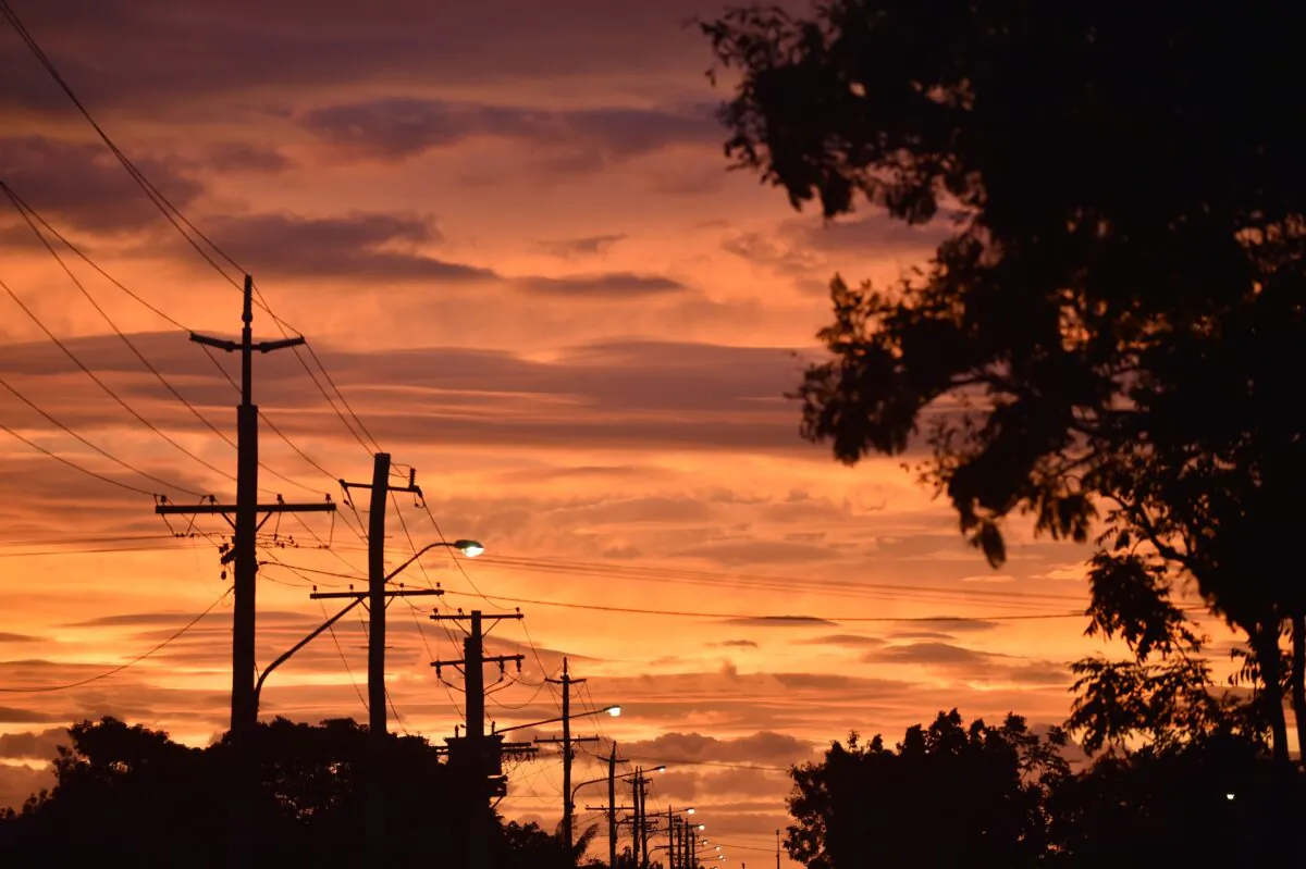 Electricity poles in Queensland town of Ayr, Australia, on March 27, 2017. (Peter Parks/Getty Images)