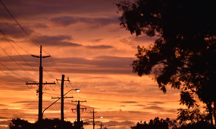 Electricity poles in Queensland town of Ayr, Australia, on March 27, 2017. (Peter Parks/Getty Images)