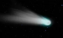 Comet With an Atmosphere Half the Size of the Sun Will Be Visible to the Naked Eye in April