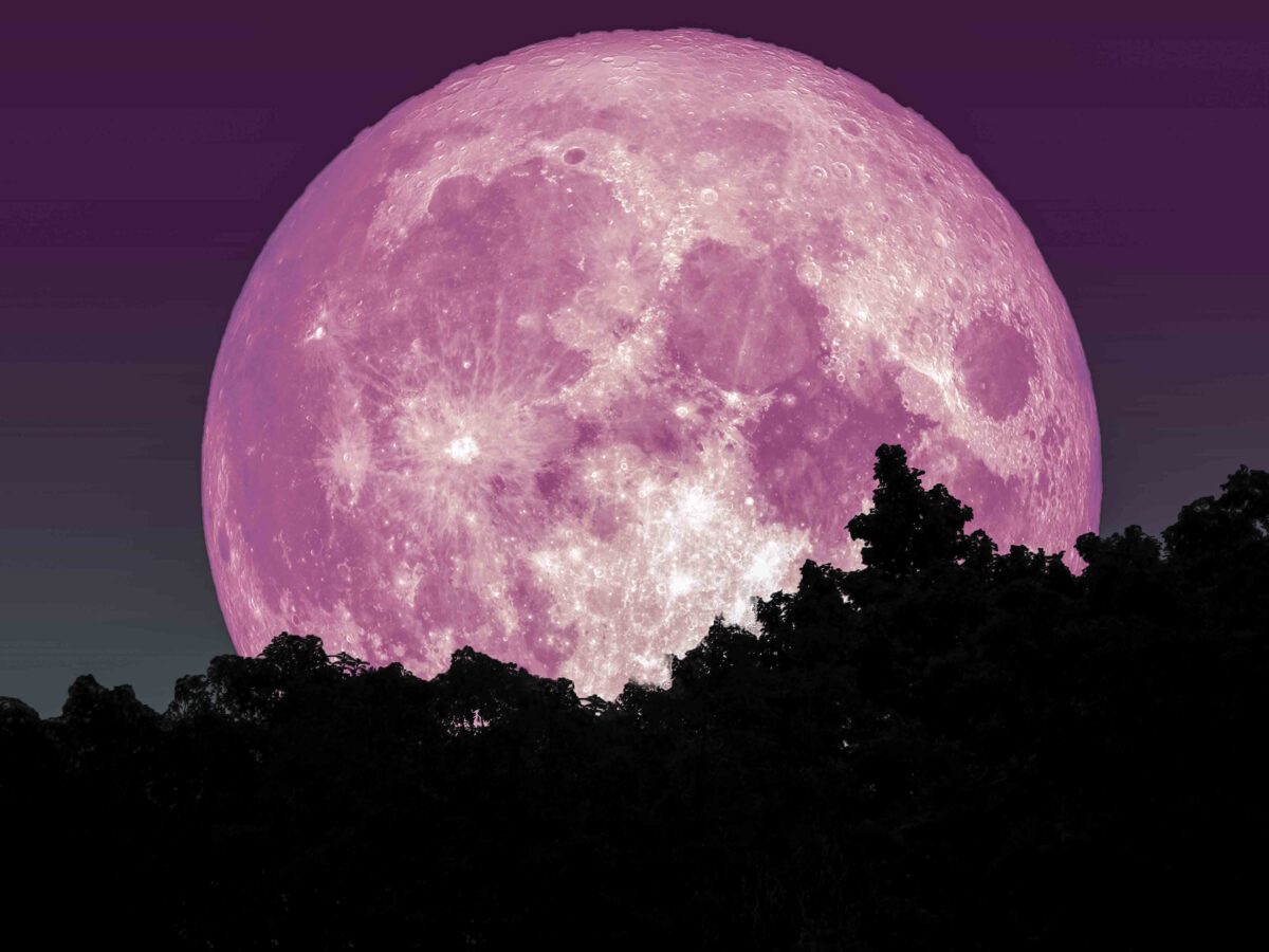 April’s ‘Super Pink Moon’ Marks the Arrival of Spring, May Be Brightest