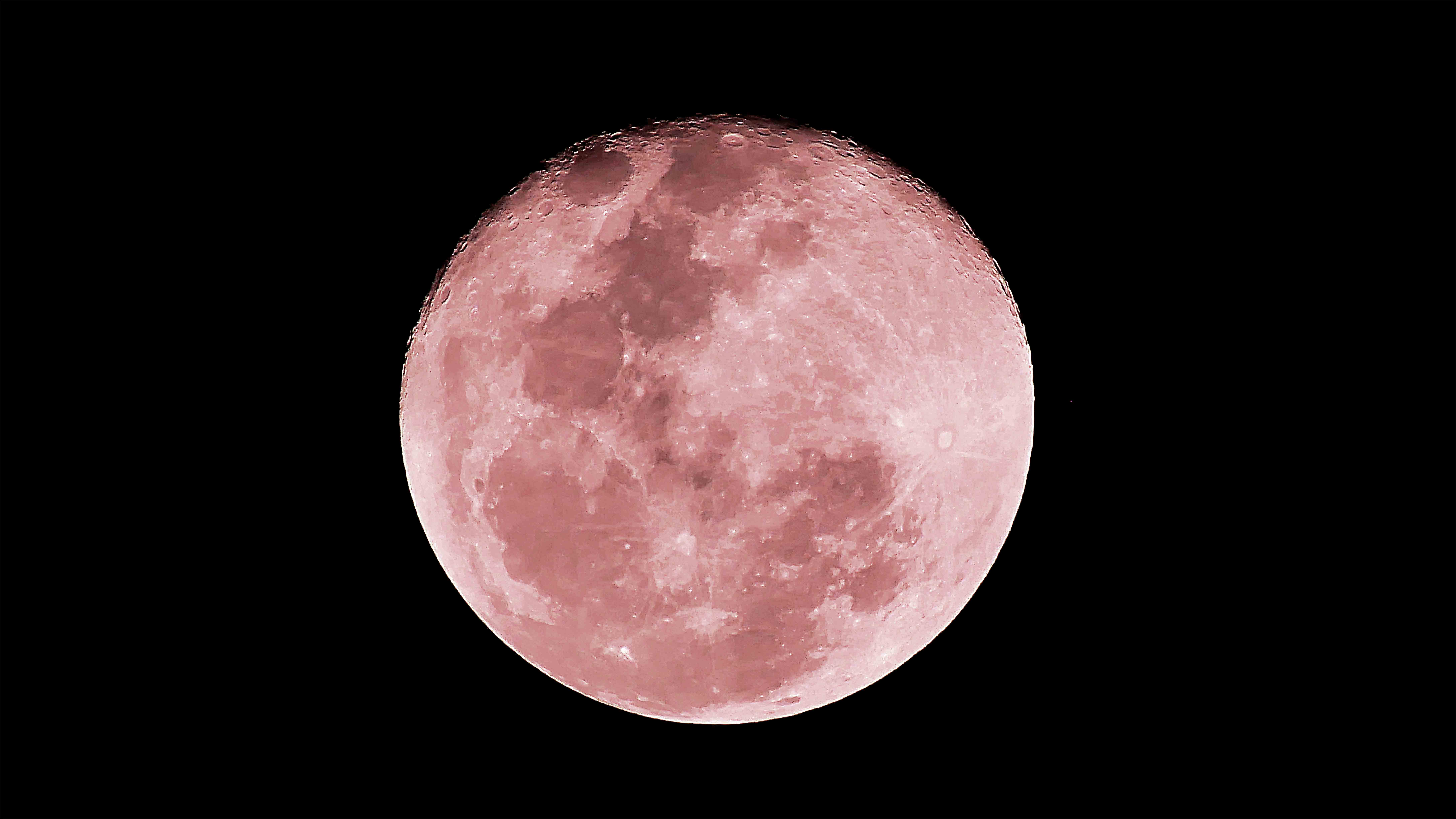 Pink moon lust
