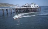 Paddleboarder Arrested for Using Ocean During COVID-19 Pandemic
