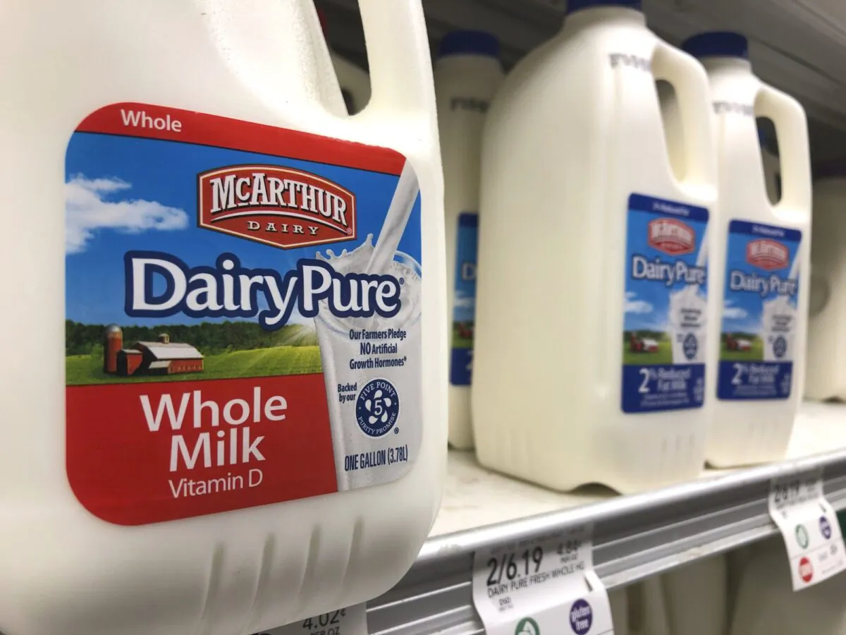 Jugs of McArthur Dairy milk, a Dean Foods brand, are shown at a grocery store, in Surfside, Fla., on Nov. 12, 2019. (Wilfredo Lee/AP)