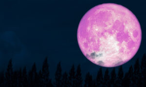 April's ‘Super Pink Moon’ Marks the Arrival of Spring, May Be Brightest Lunar Event of 2020