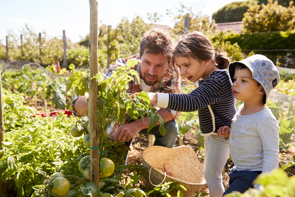 Start small, with easy-to-grow crops, and go from there. (Monkey Business Images/Shutterstock)