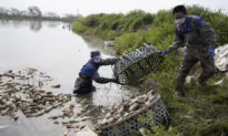 China Reports Severe Epidemic of Wheat