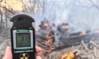 Chernobyl Radiation Back to Normal After Spike at Forest Fire Site
