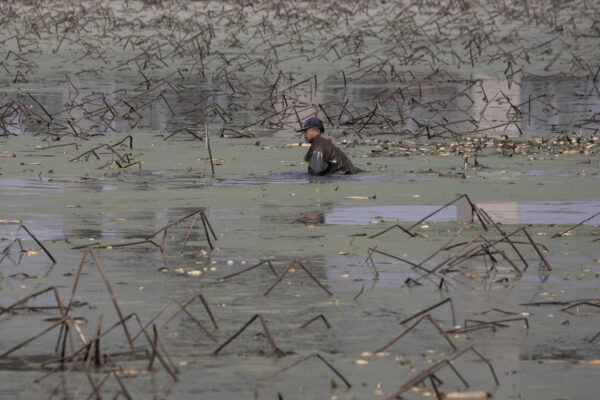 Virus-Outbreak-Wuhan-Struggling-Farmers