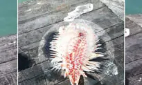 What This Texas Angler Happened to Reel In Can Cause Painful Injury If Touched