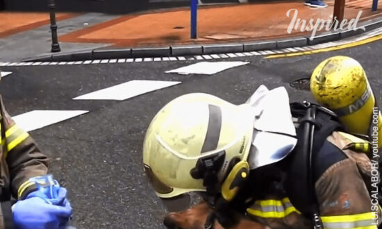 Dog Rescued From a Burning House