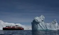 Cruise Ship Passengers Set for Australia Return