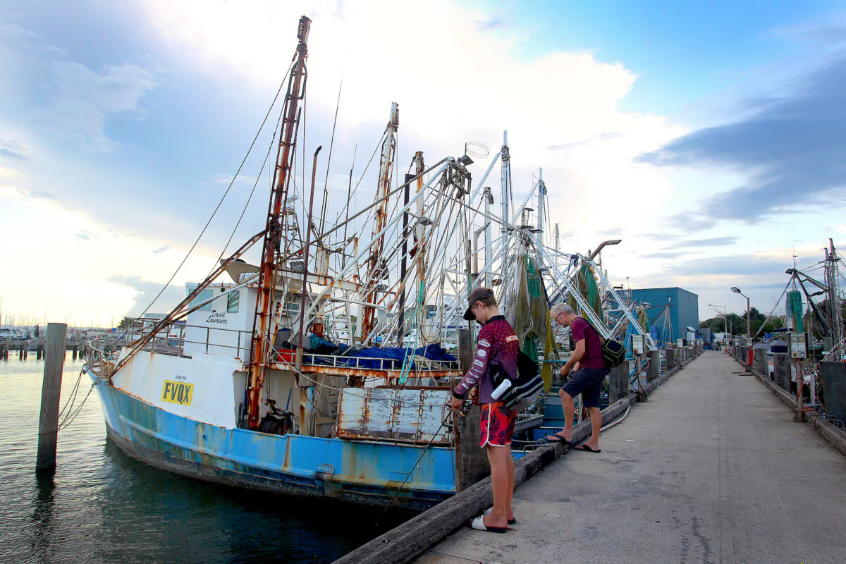 Local fishing fleet docked at Mooloolaba Wharf on March 31, 2020. (Lisa Maree Williams/Getty Images)