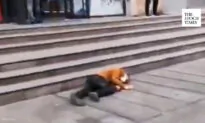 On the First Day of Unblocking in Wuhan, Someone Suddenly Fell on the Street