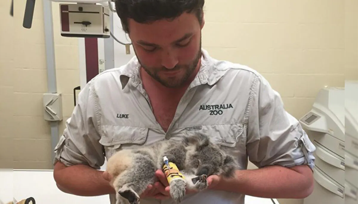 (Photo courtesy of Australia Zoo)