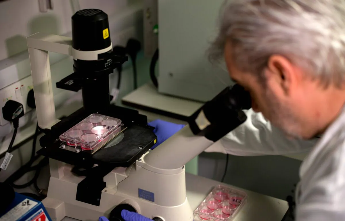 Dr. Paul McKay, who is working on an vaccine for the 2019-nCoV strain of the novel coronavirus, COVID-19, poses for a photograph using a microscope to look at bacteria containing coronavirus, COVID-19, DNA fragments, in a research lab at Imperial College School of Medicine (ICSM) in London on Feb. 10, 2020. (Tolga Akmen/AFP via Getty Images)